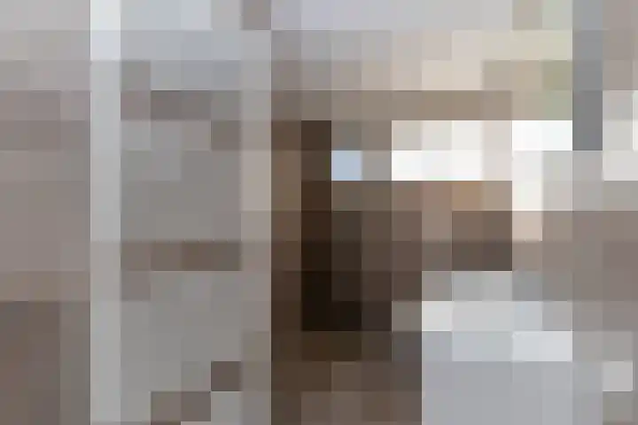 Haverkamp 6 Gendringen thumbnail 29
