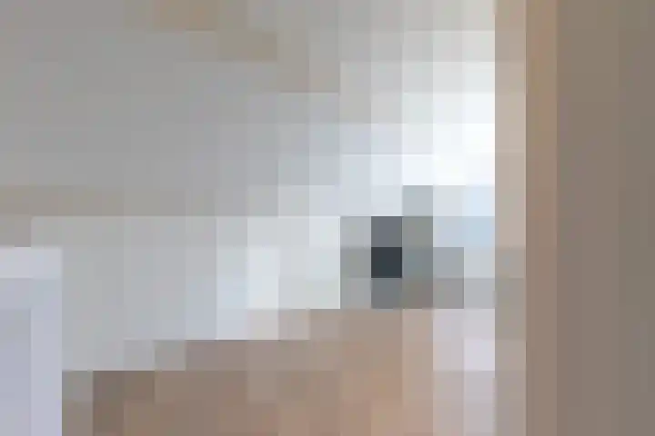 Haverkamp 6 Gendringen thumbnail 32