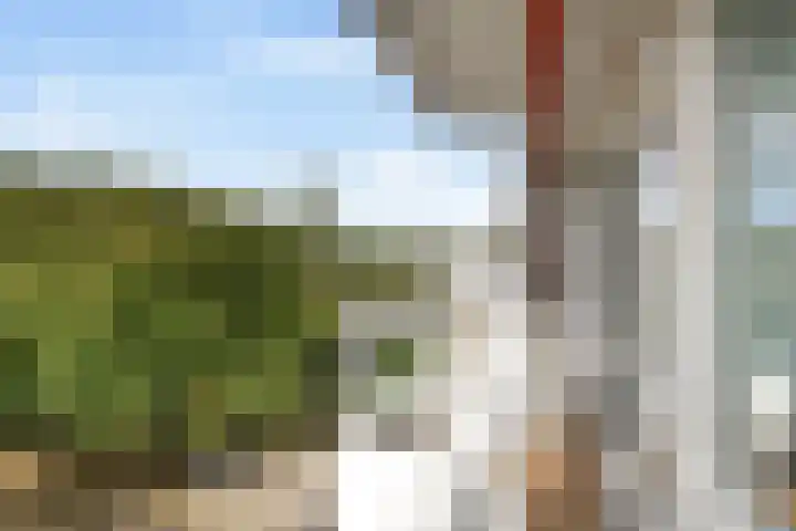 Haverkamp 88 Den Haag thumbnail 30