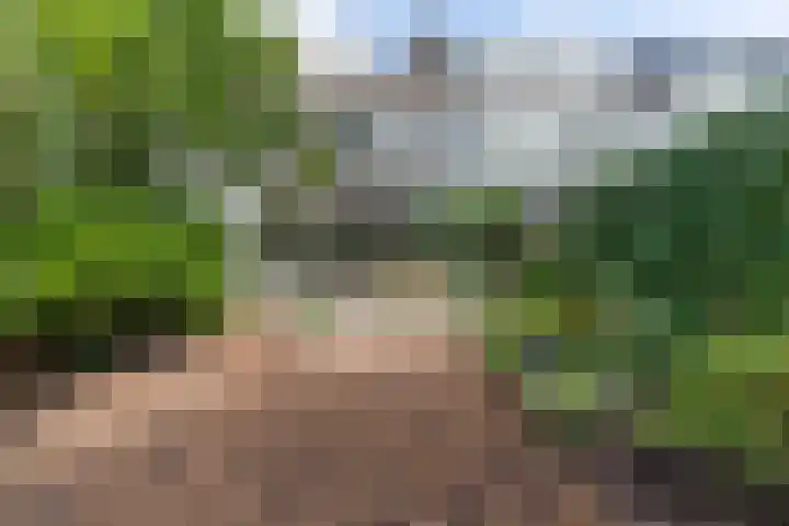 Haverland 33 Leusden foto 2