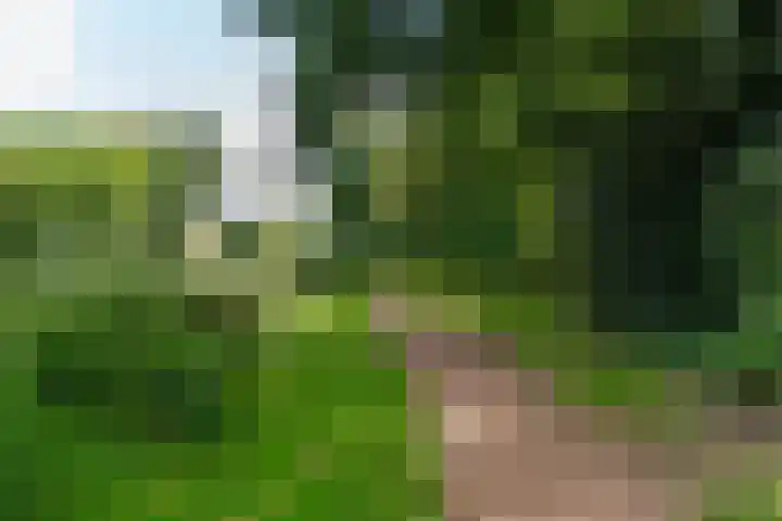 Haverland 33 Leusden thumbnail 41