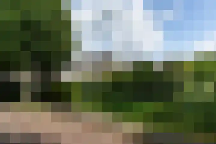 Haverland 33 Leusden thumbnail 42