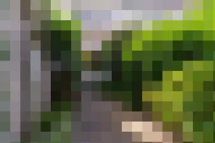 Haverland 33 Leusden thumbnail 8