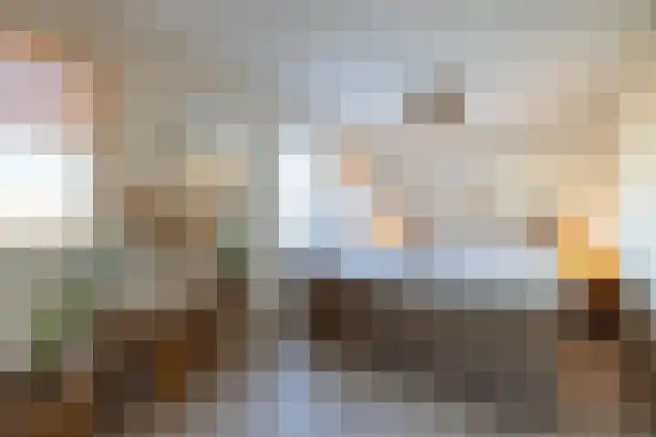 Haverstraat 61 Halle thumbnail 33
