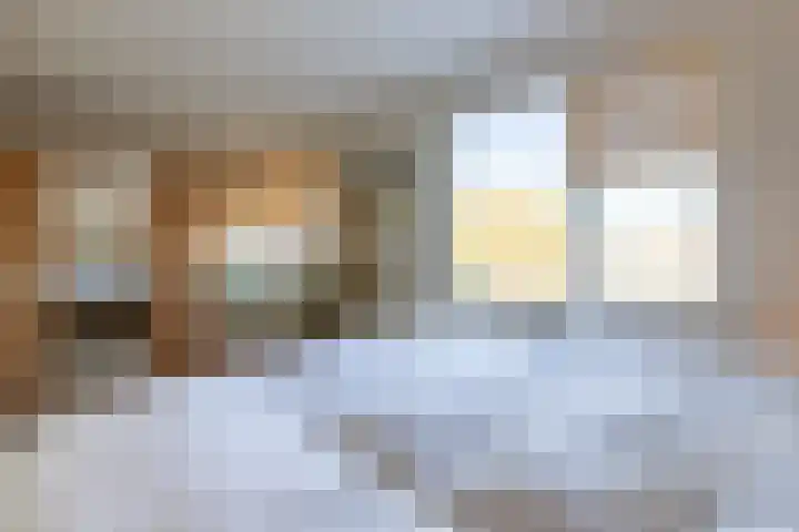 Haverstraat 61 Halle thumbnail 34