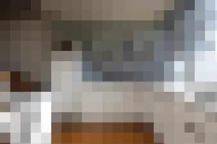 Haverstraat 61 Halle thumbnail 7