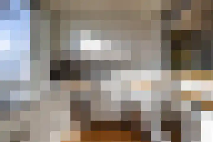 Haverstraat 61 Halle thumbnail 8