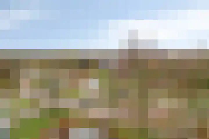 Haverweerd 131 Soest thumbnail 11