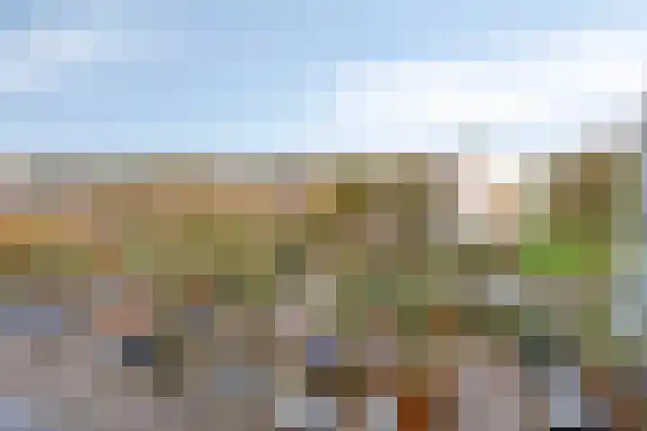 Haverweerd 131 Soest thumbnail 19