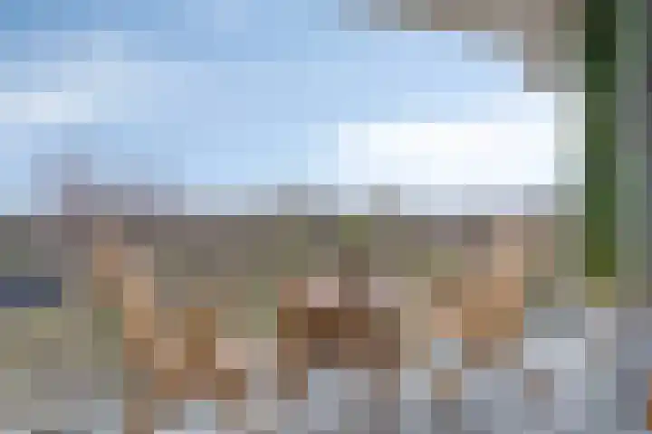 Haverweerd 131 Soest thumbnail 8