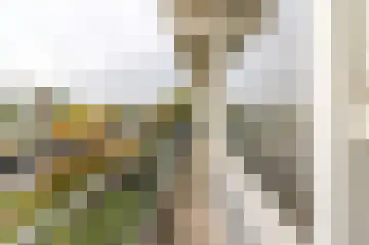 Haverweerd 78 Soest thumbnail 14