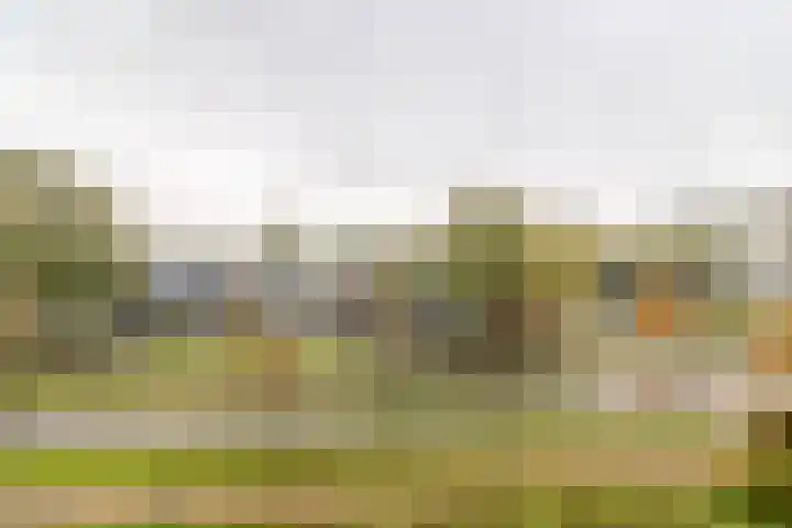 Haverweerd 78 Soest thumbnail 17