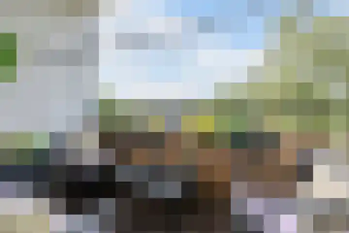 Haverweerd 81 Soest thumbnail 19