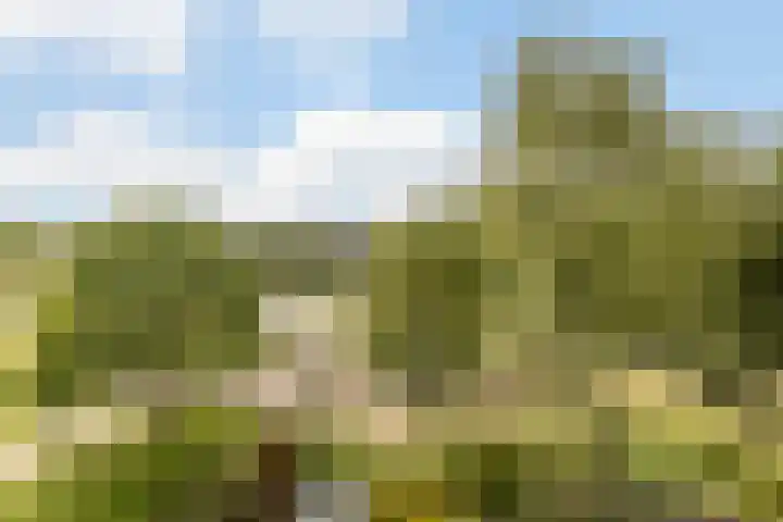 Haverweerd 81 Soest thumbnail 25