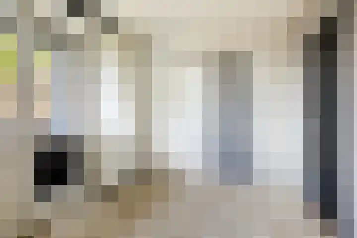 Havezatelaan 139 Deventer thumbnail 17