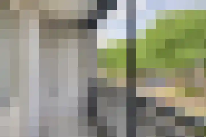 Havezatelaan 139 Deventer thumbnail 18