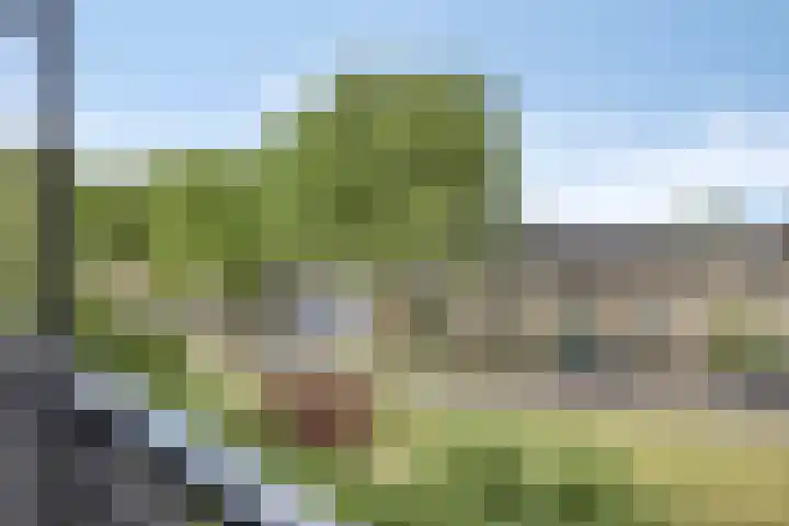 Havezatelaan 139 Deventer thumbnail 21