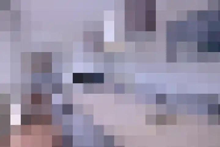 Havezatelaan 237 Deventer thumbnail 13