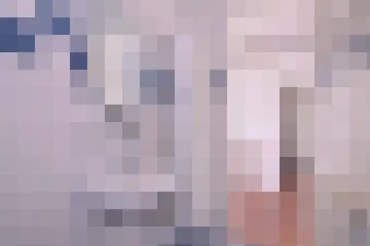 Havezatelaan 237 Deventer thumbnail 24
