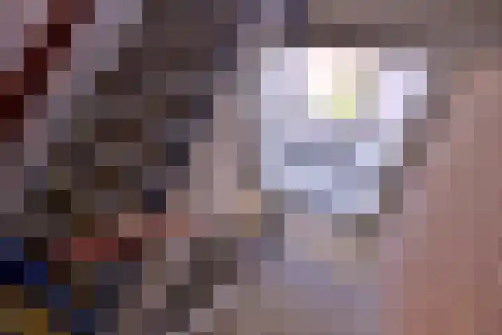 Havezatelaan 237 Deventer thumbnail 27