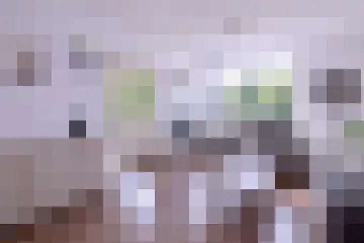 Havezatelaan 237 Deventer thumbnail 4