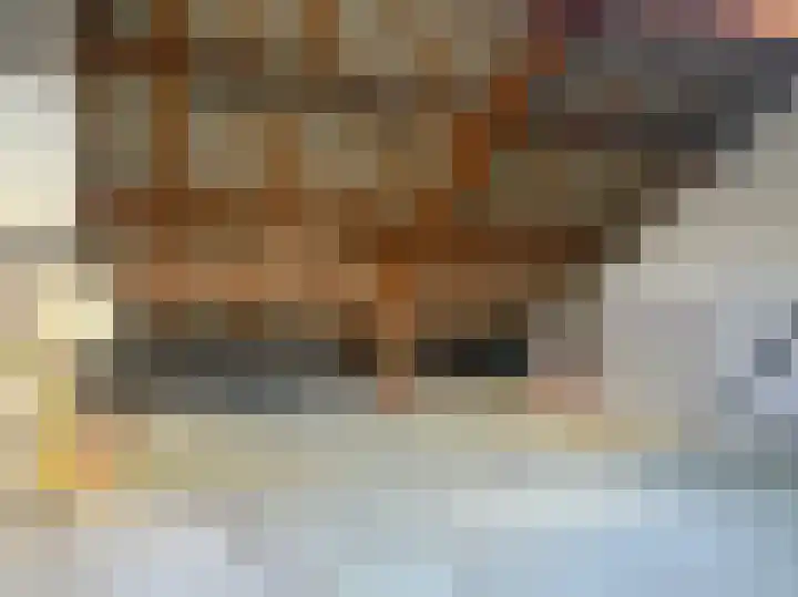 Havezathe 93 Almelo thumbnail 22
