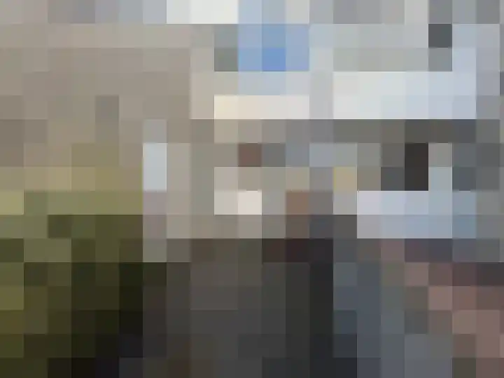 Havezathe 93 Almelo thumbnail 23