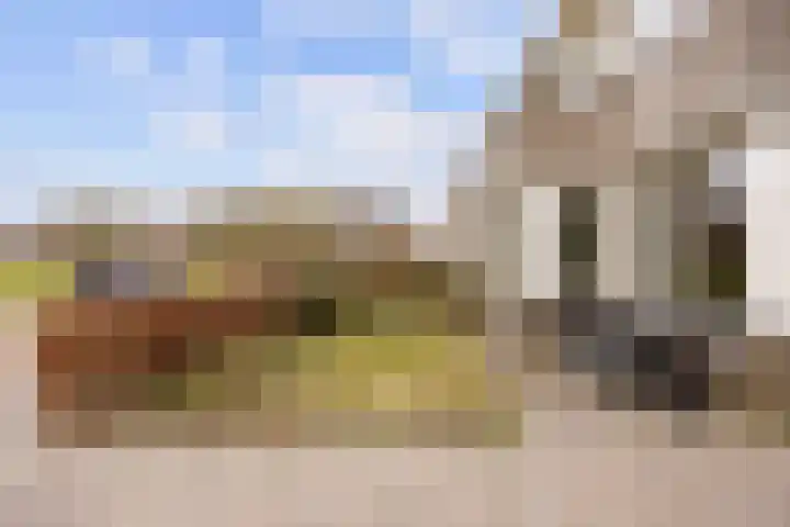 Havik 20 Bedum thumbnail 10