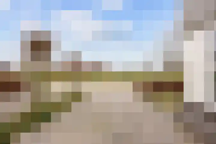 Havik 20 Bedum thumbnail 12
