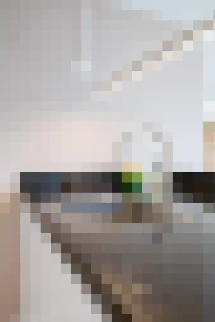 Havik 20 Bedum thumbnail 30