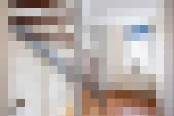 Havik 20 Bedum thumbnail 37
