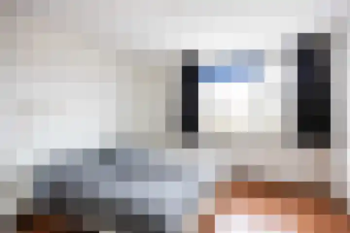 Havik 20 Bedum thumbnail 38