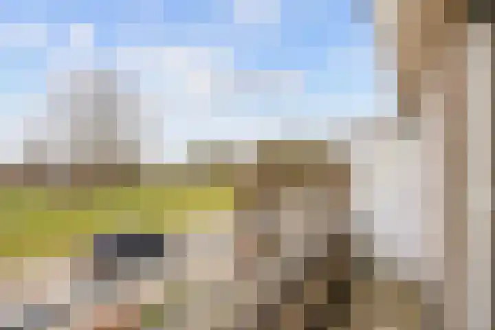 Havik 20 Bedum thumbnail 42