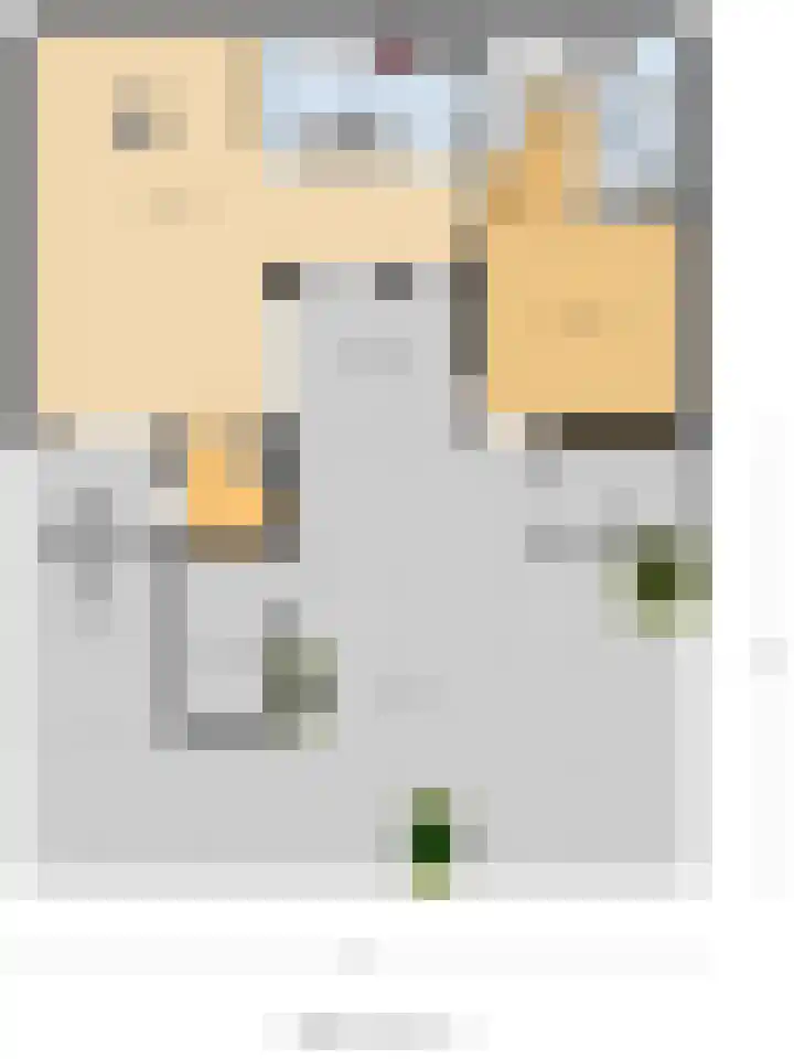 Havik 20 Bedum thumbnail 5