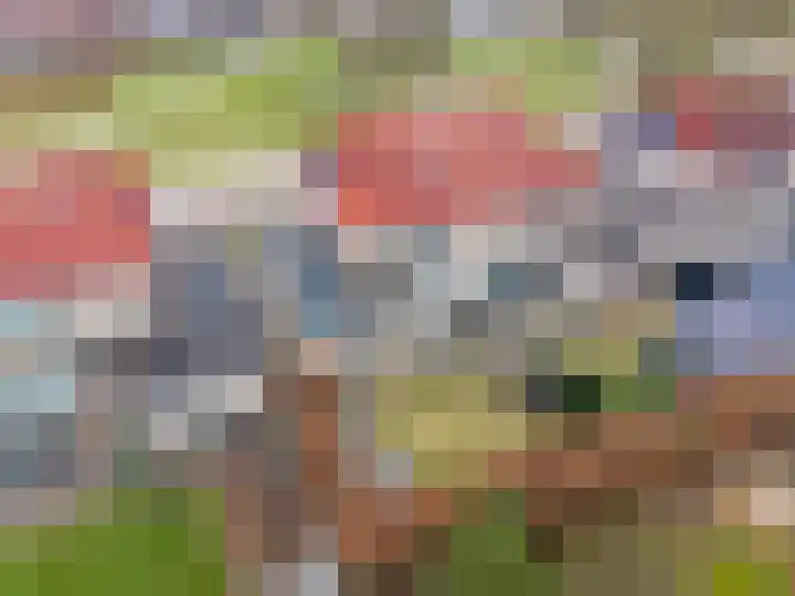 Havik 20 Bedum thumbnail 6