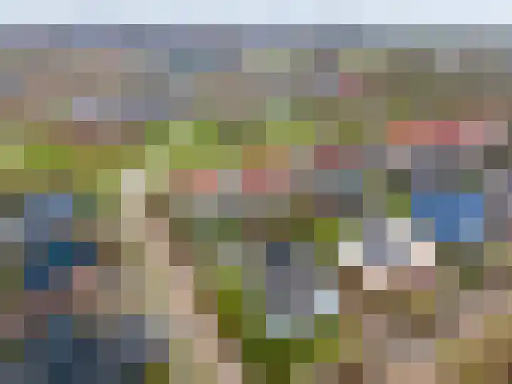 Havik 20 Bedum thumbnail 7