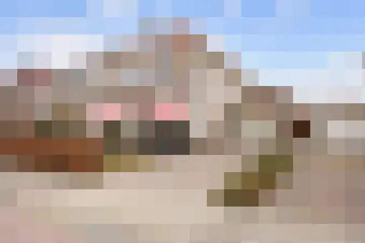 Havik 20 Bedum thumbnail 8
