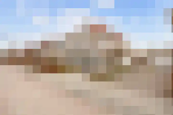 Havik 20 Bedum thumbnail 9