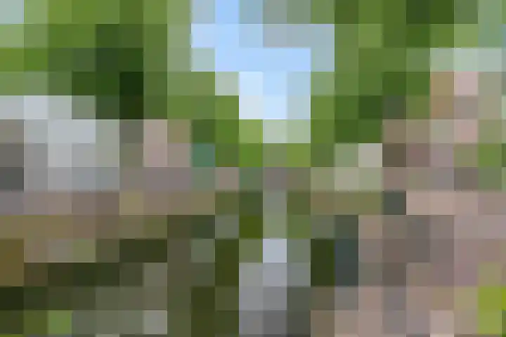 Havik 23 Amersfoort thumbnail 50