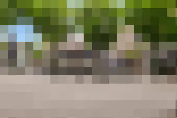 Havik 23 Amersfoort thumbnail 53