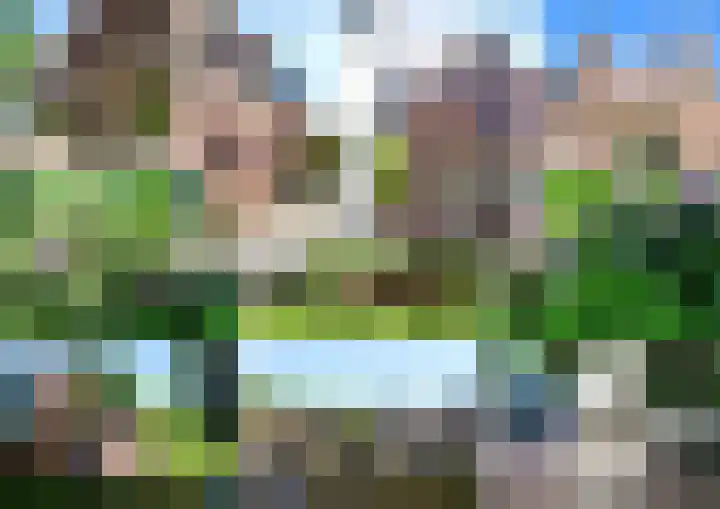 Havik 23 Amersfoort thumbnail 62
