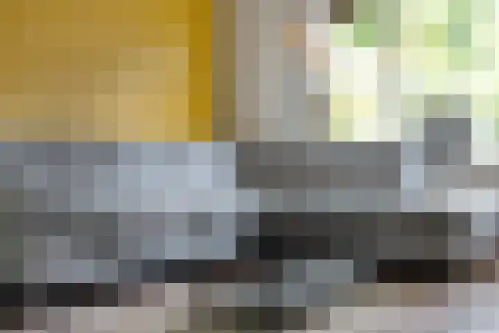 Havik 5 Ommen thumbnail 11