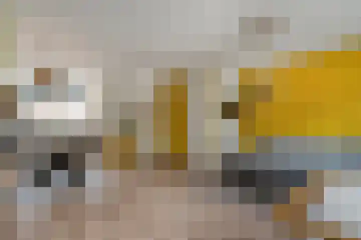 Havik 5 Ommen thumbnail 12