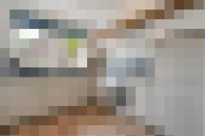 Havik 5 Ommen thumbnail 14