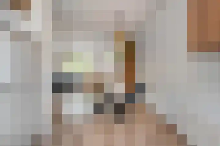 Havik 5 Ommen thumbnail 15