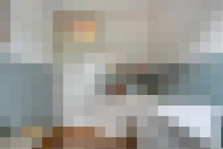 Havik 5 Ommen thumbnail 22