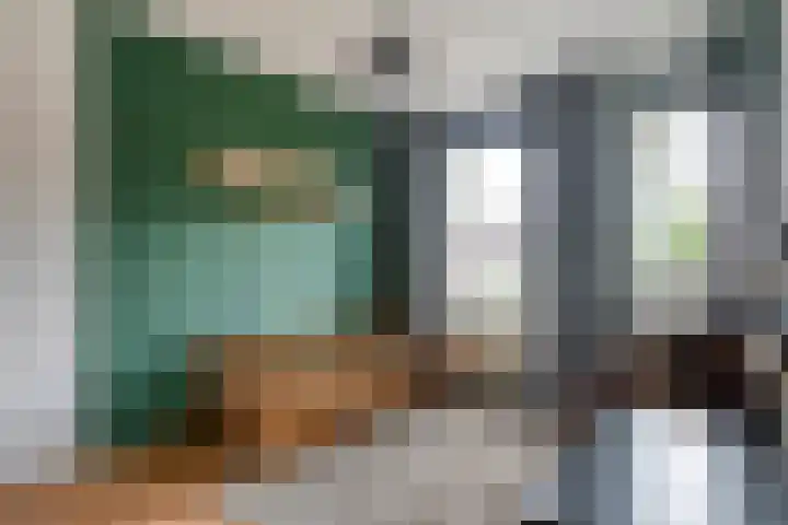 Havik 5 Ommen thumbnail 24