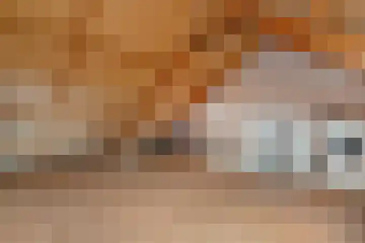 Havik 5 Ommen thumbnail 26