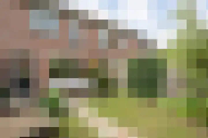 Havik 5 Ommen thumbnail 29