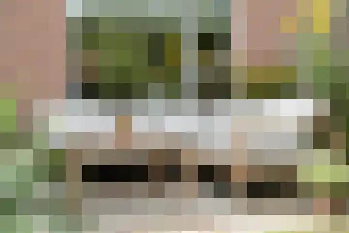 Havik 5 Ommen thumbnail 30